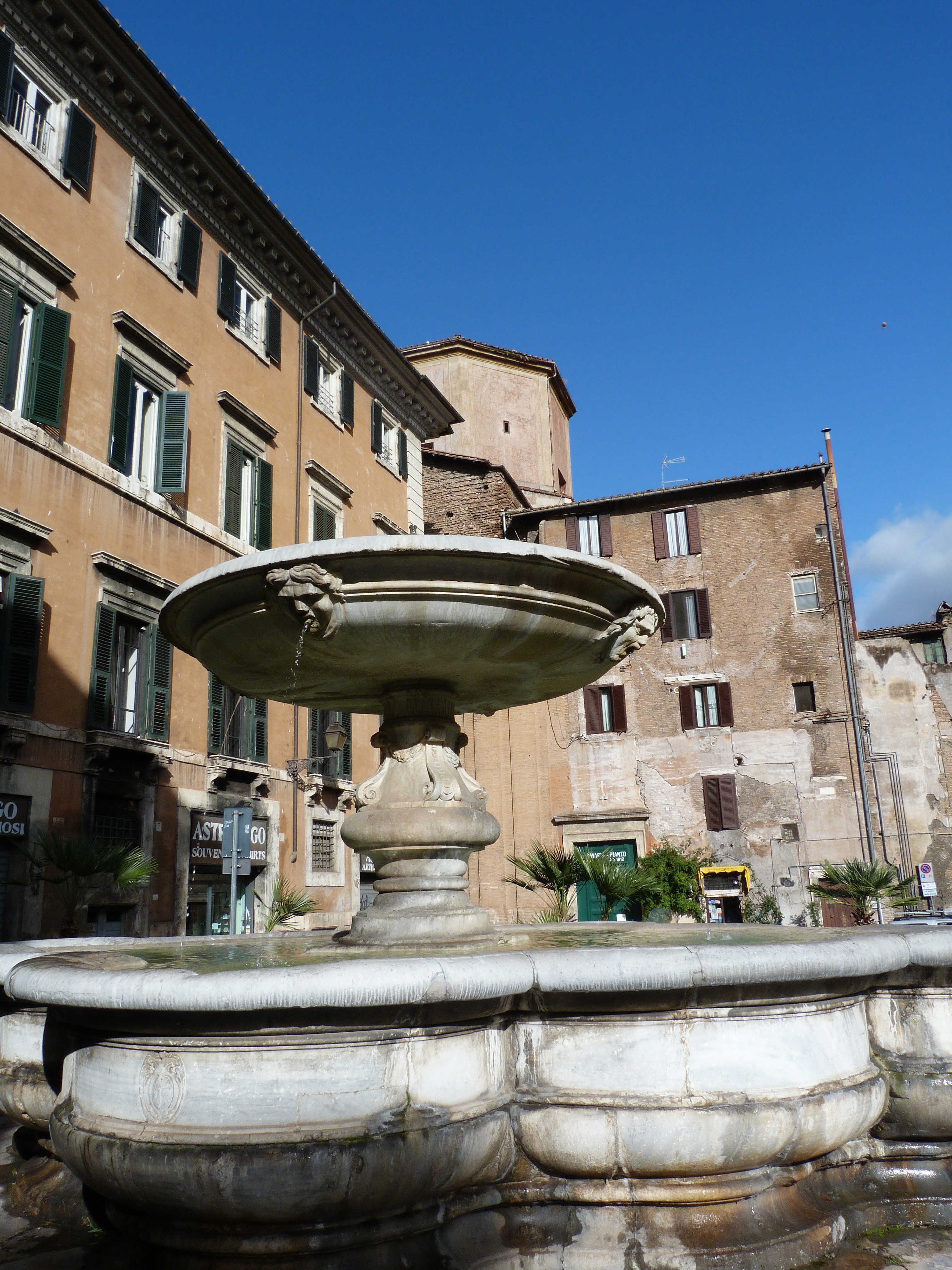 roma point of view